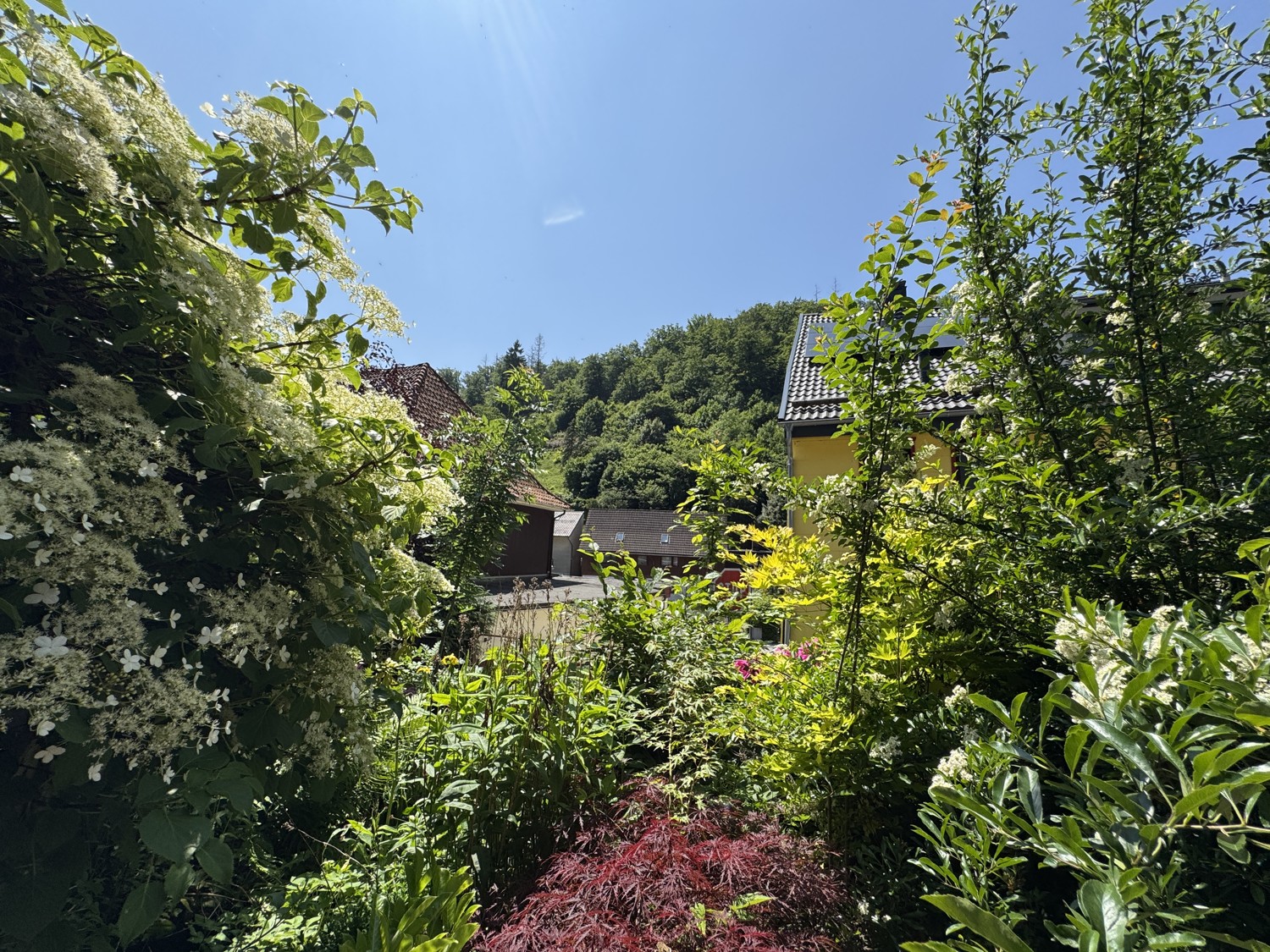 Ausblick