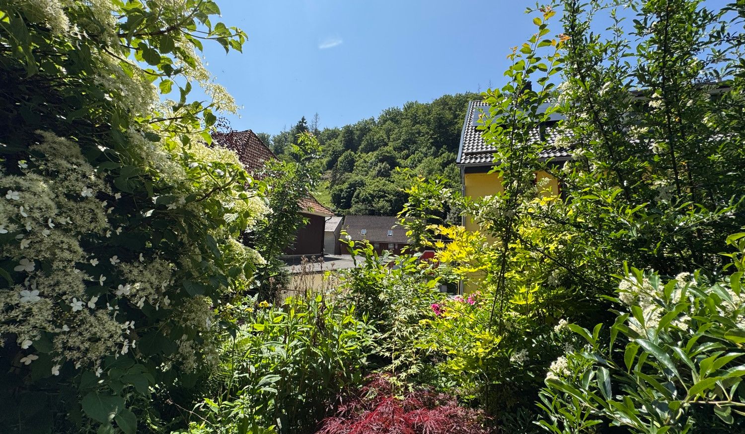 Ausblick