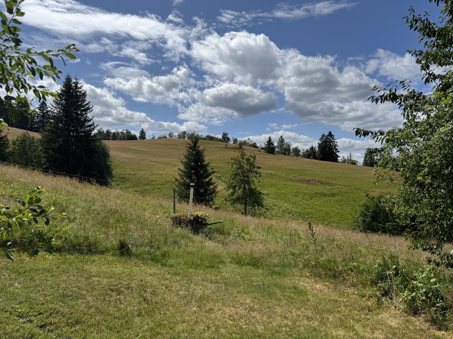 Gepflegtes und sehr gut geführtes 3***-Superior-Hotel in Altenau mit Hallenschwimmbad und tollem Blick in die Natur