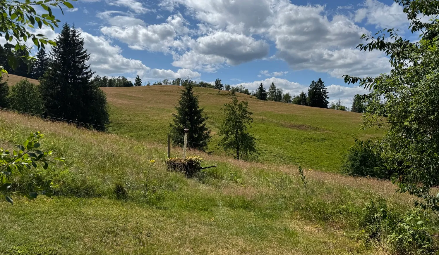 Gepflegtes und sehr gut geführtes 3***-Superior-Hotel in Altenau mit Hallenschwimmbad und tollem Blick in die Natur