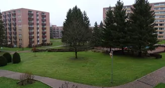 von_poll_real_estate_property_25323904_image_13