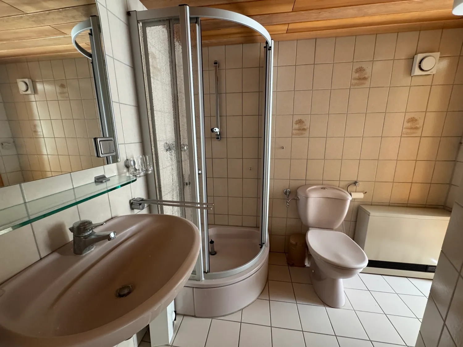 Spacious and light-filled detached house with outbuildings and renovation needs in a quiet location