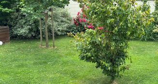 von_poll_real_estate_property_25353948_image_24
