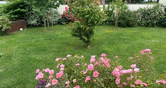 von_poll_real_estate_property_25353948_image_25