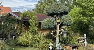 von_poll_real_estate_property_25323101_image_5