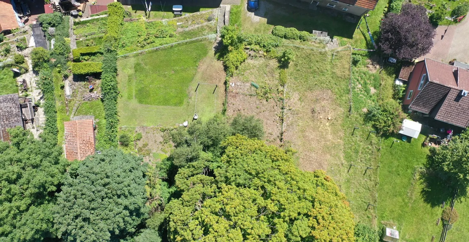 org_cd980ae1f5f9cbf4_1542982974000