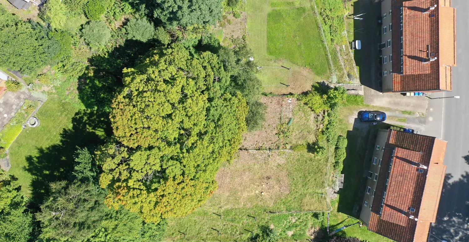 org_756510c38ee24ba9_1542982964000