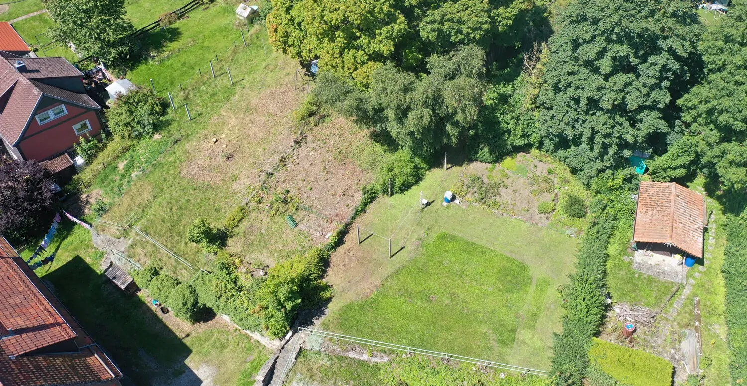 org_be94184636f89936_1542982998000