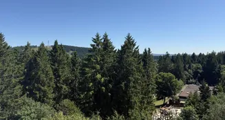 von_poll_real_estate_property_25323085_image_1