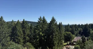 von_poll_real_estate_property_25323085_image_1