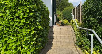 von_poll_real_estate_property_25323084_image_5