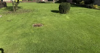 von_poll_real_estate_property_25323116_image_7