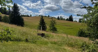 von_poll_real_estate_property_25323183_image_7