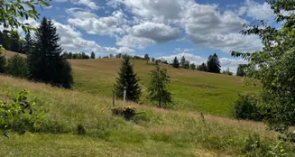 von_poll_real_estate_property_25323183_image_7