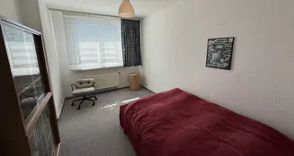 von_poll_real_estate_property_25323108_image_7