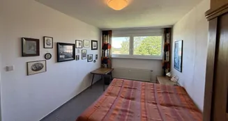 von_poll_real_estate_property_25323108_image_6