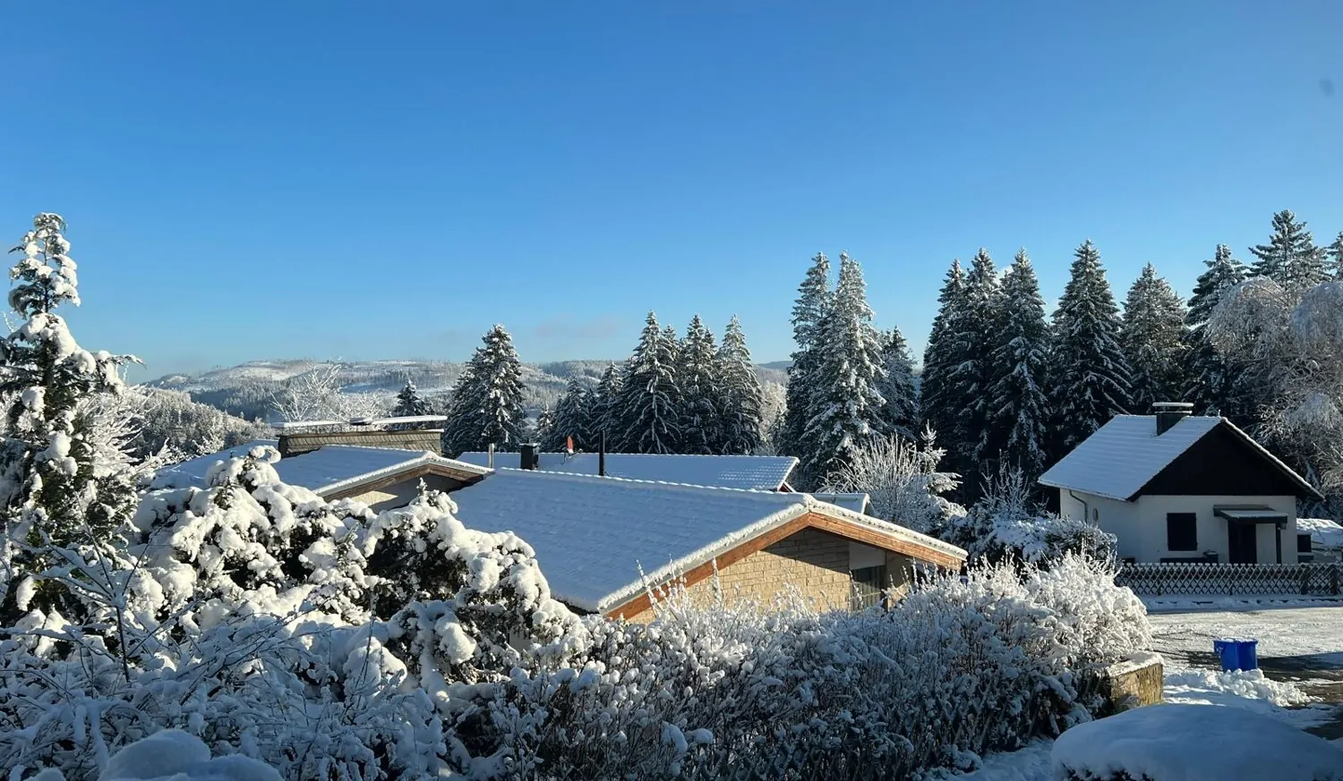 PHOTO-2025-11-21-13-58-26 2