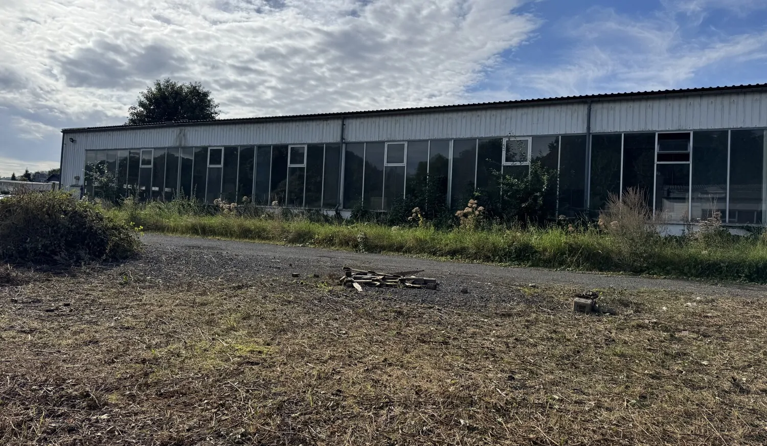 Zur Vermietung: Teilbare Gewerbehallen im Gewerbegebiet von Barbis mit ca. 7.400 m² Fläche