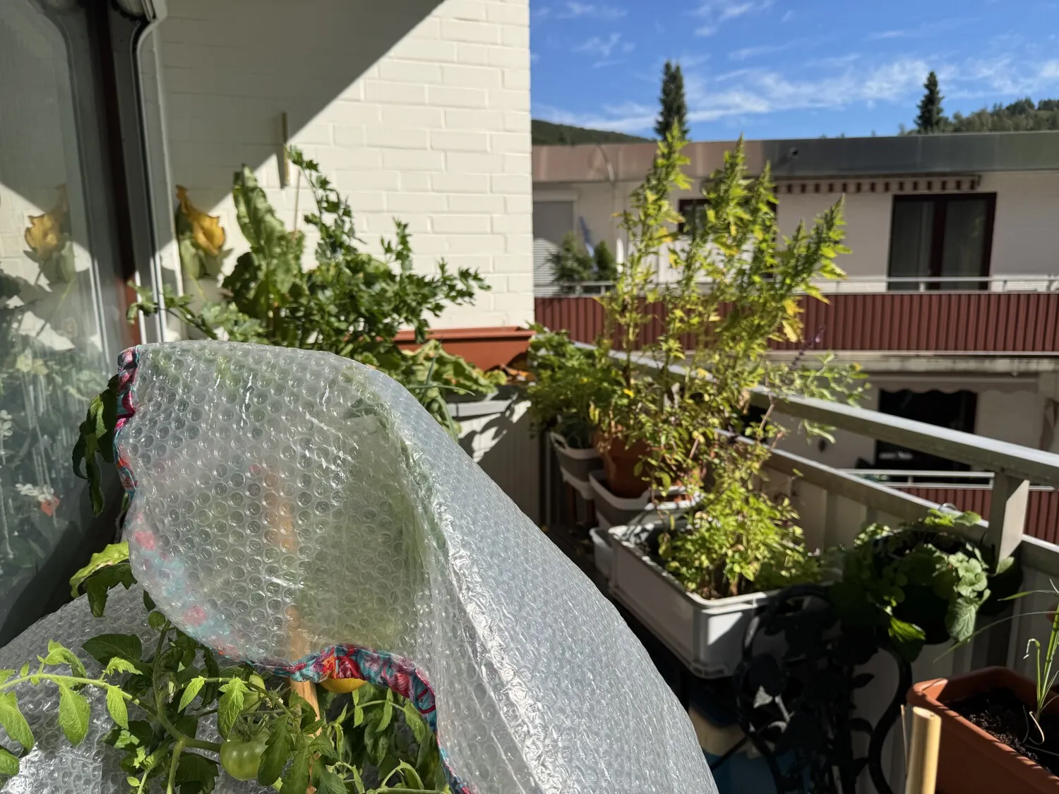 Charmantes 2-Zimmer-Appartement (ca. 58 m² Wohnfläche) mit offenem Küchenbereich und 2 Balkonen