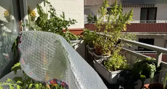 von_poll_real_estate_property_25323126_image_8