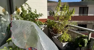 von_poll_real_estate_property_25323126_image_8