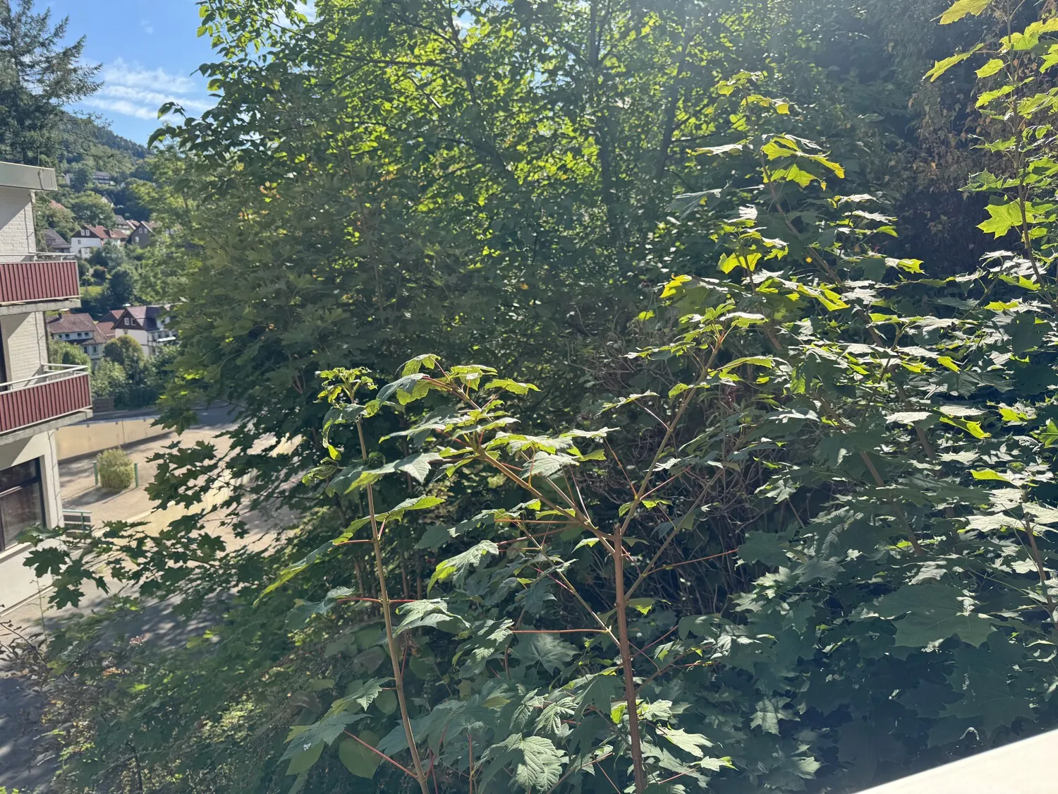 Charmantes 2-Zimmer-Appartement (ca. 58 m² Wohnfläche) mit offenem Küchenbereich und 2 Balkonen