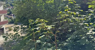 von_poll_real_estate_property_25323126_image_9