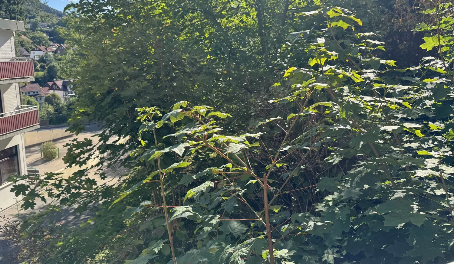 Charmantes 2-Zimmer-Appartement (ca. 58 m² Wohnfläche) mit offenem Küchenbereich und 2 Balkonen