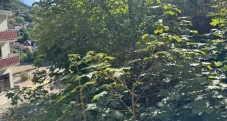 von_poll_real_estate_property_25323126_image_9