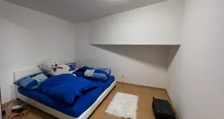 von_poll_real_estate_property_25323122_image_10