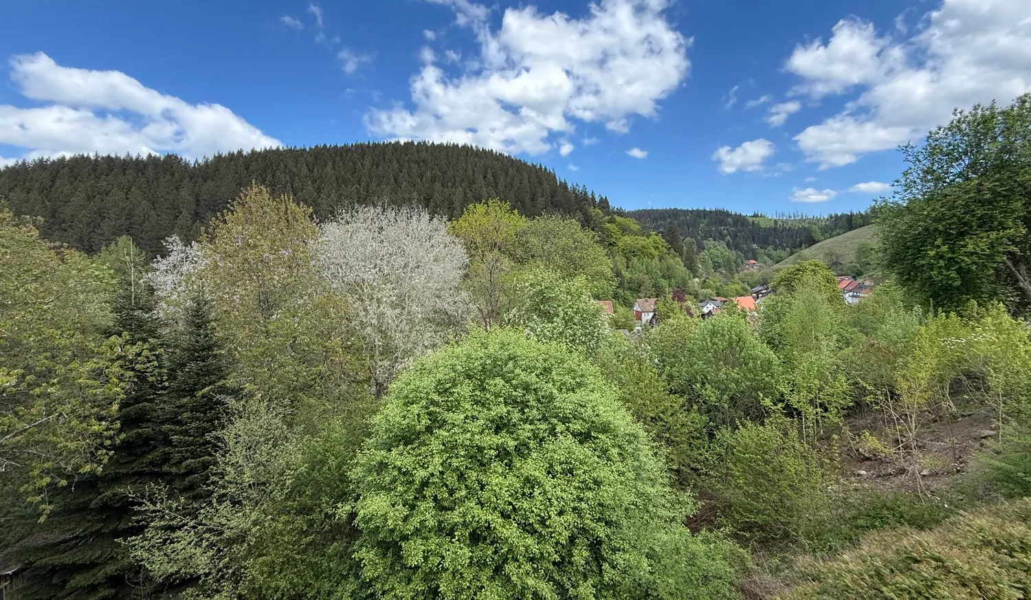 Blick ins Tal