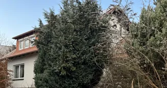 von_poll_real_estate_property_26323012_image_3