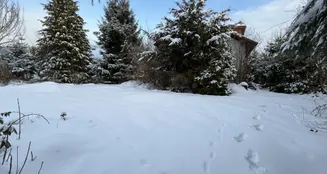 von_poll_real_estate_property_26323012_image_5