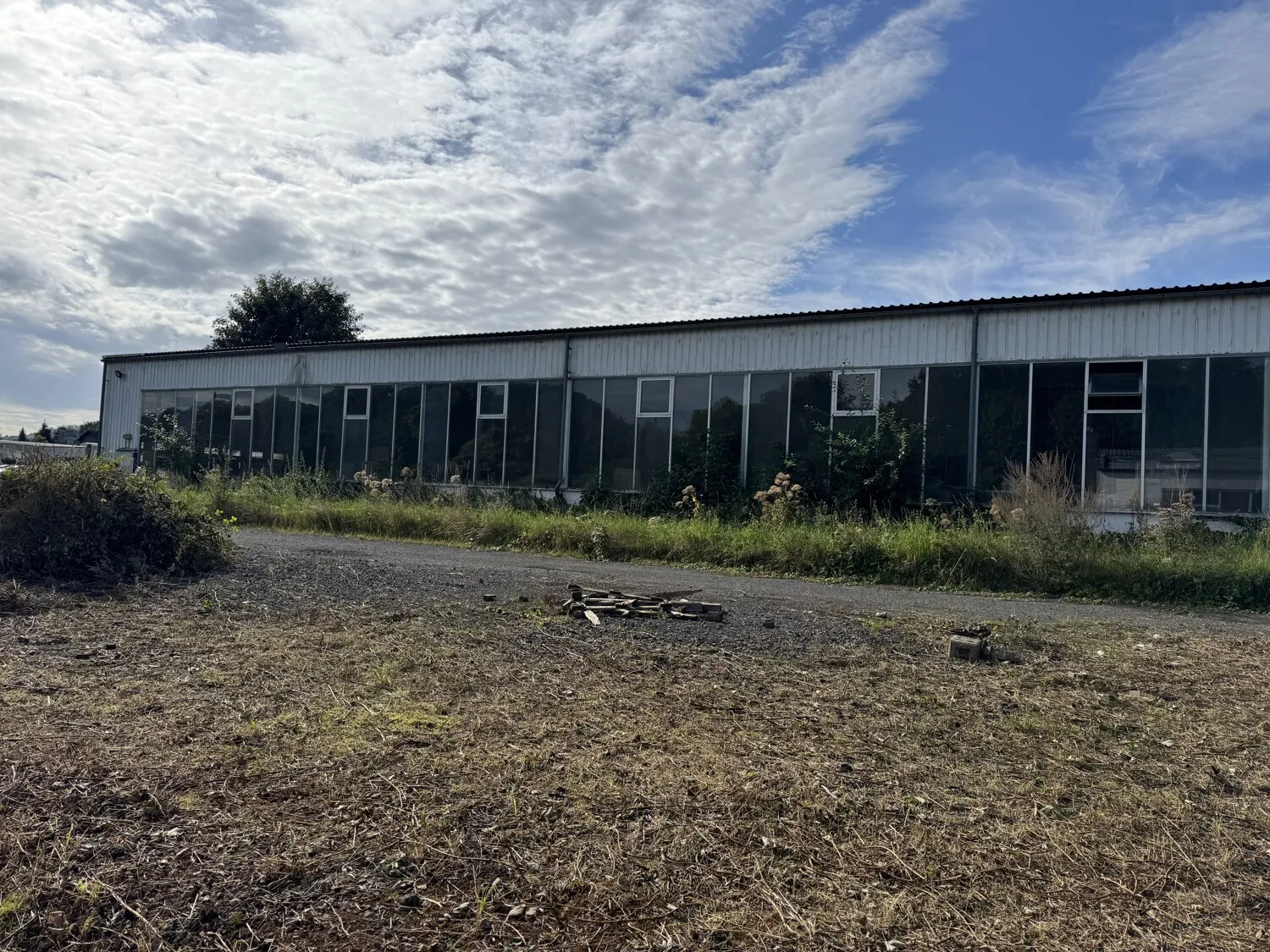 Zur Vermietung: Gewerbehalle im Gewerbegebiet von Barbis mit ca. 1.432 m² Fläche