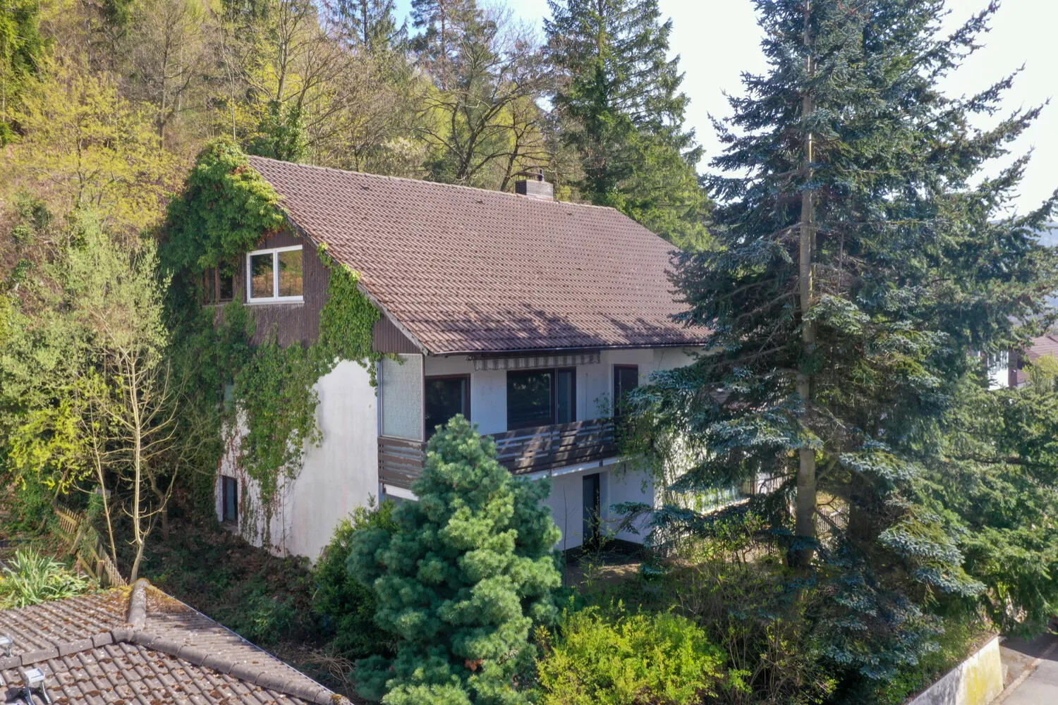 Lautenthal 027-1