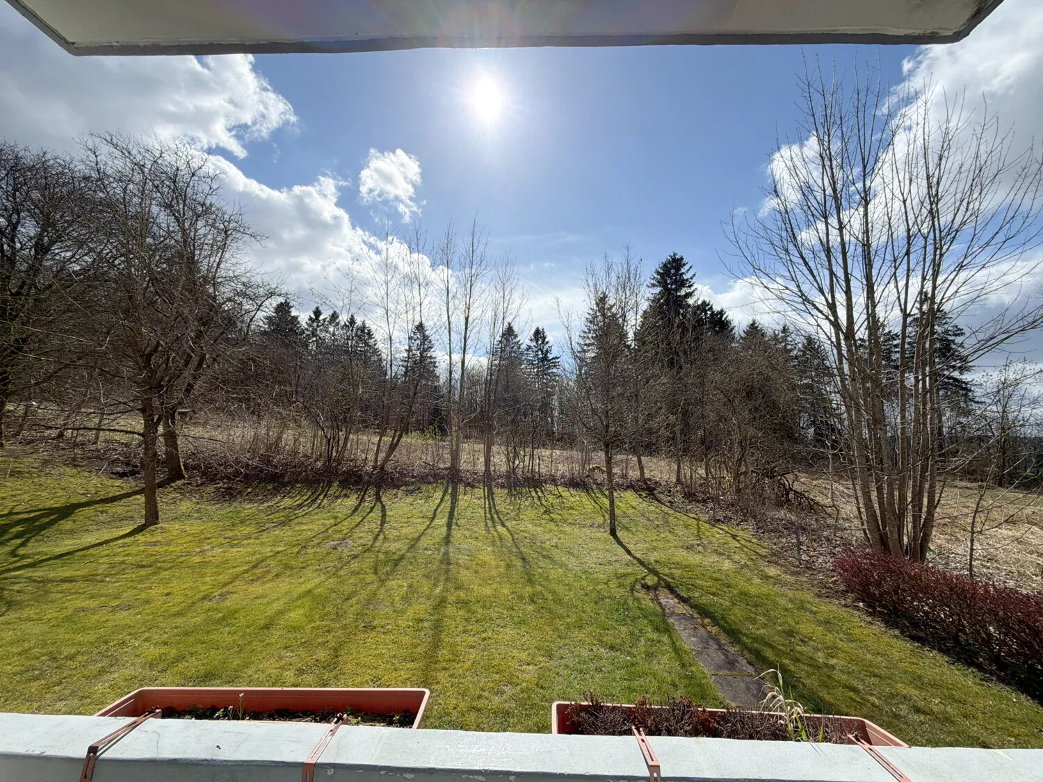 Ausblick in den Garten