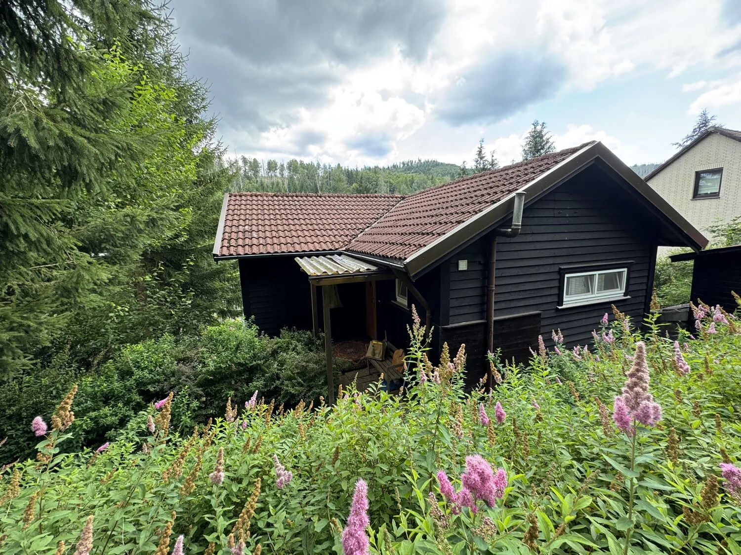 Liebhaberobjekt - Wohnen im Einklang mit der Natur - Einfamilienhaus mit vielen Möglichkeiten
