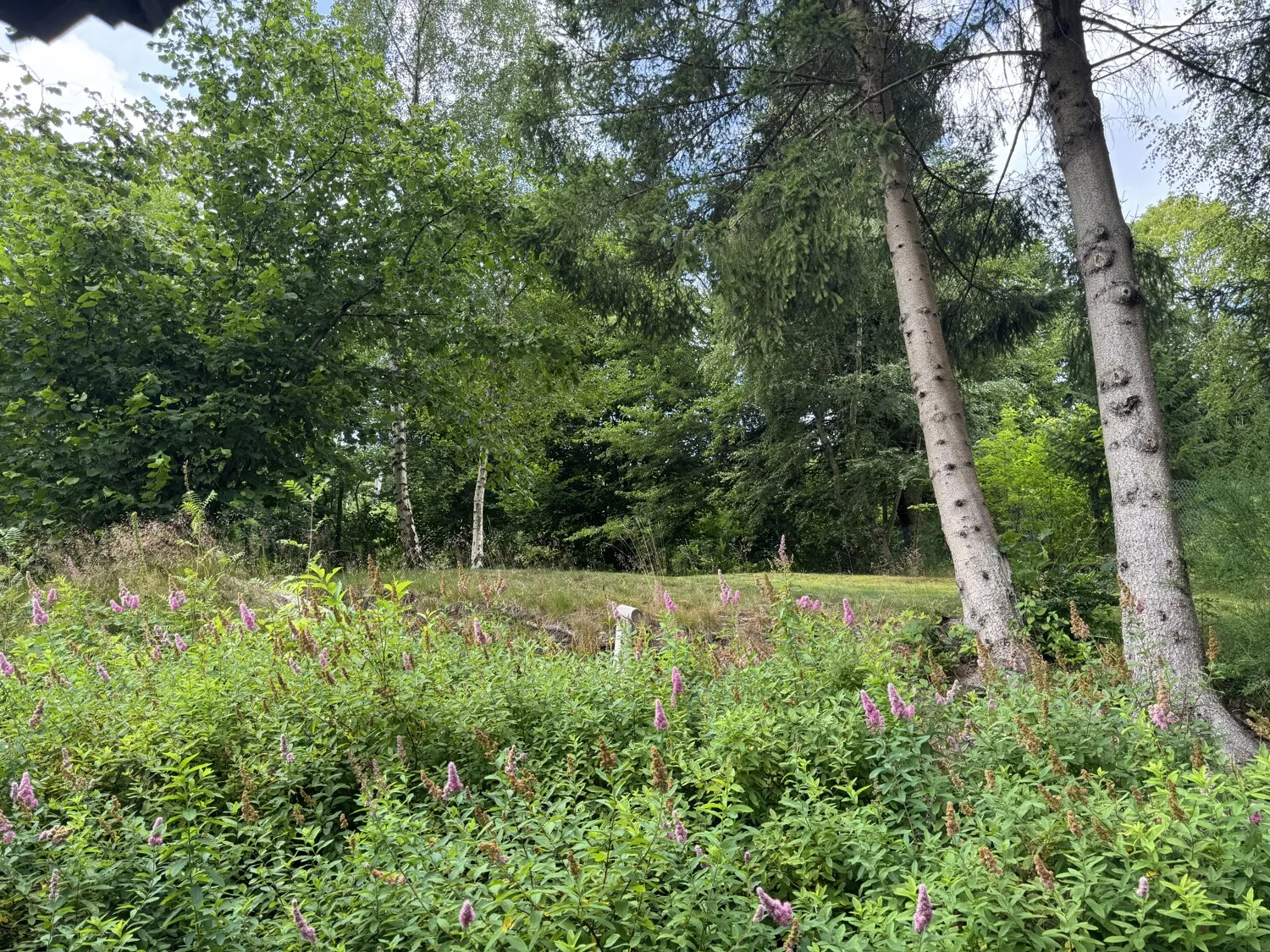 Liebhaberobjekt - Wohnen im Einklang mit der Natur - Einfamilienhaus mit vielen Möglichkeiten