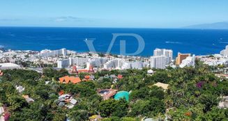 von_poll_real_estate_property_ES243184800_image_7