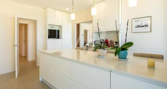 von_poll_real_estate_property_ES243184838_image_106