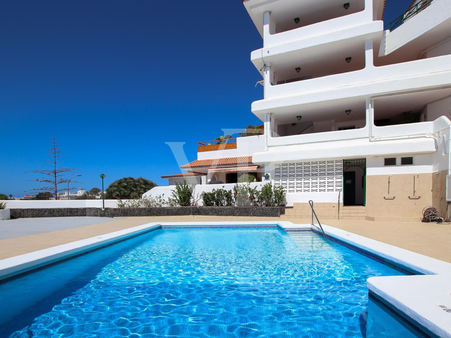 Traumhaftes Apartment mit Meerblick in Los Cristianos