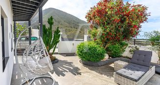 von_poll_real_estate_property_ES253185307_image_36