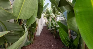 von_poll_real_estate_property_ES253185345_image_108