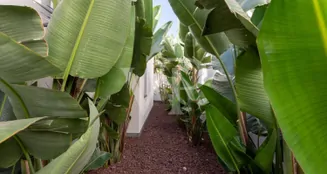 von_poll_real_estate_property_ES253185345_image_108