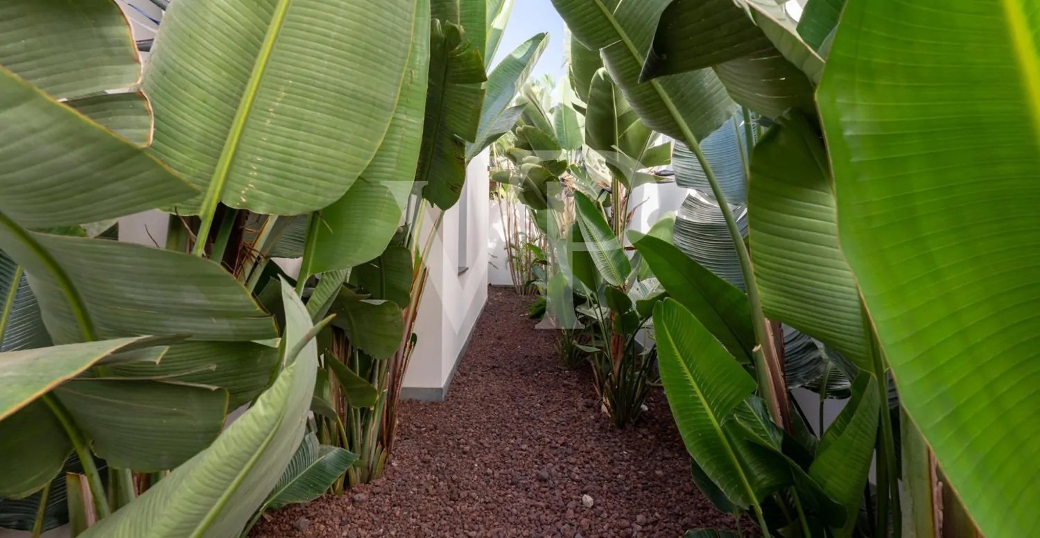 Luxusvilla mit Infinity-Pool und Panoramablick auf den Atlantik