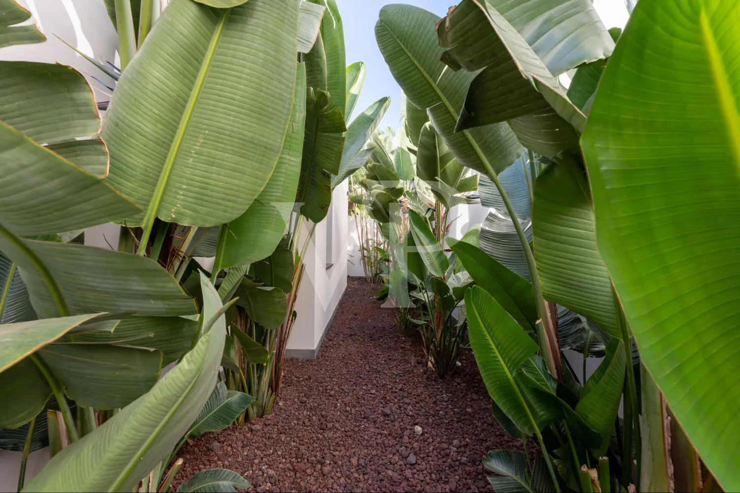 Luxusvilla mit Infinity-Pool und Panoramablick auf den Atlantik
