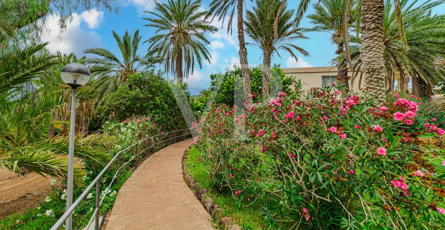 Elegantes Penthouse mit Meerblick – Marazul del Sur