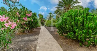 von_poll_real_estate_property_ES253185676_image_32