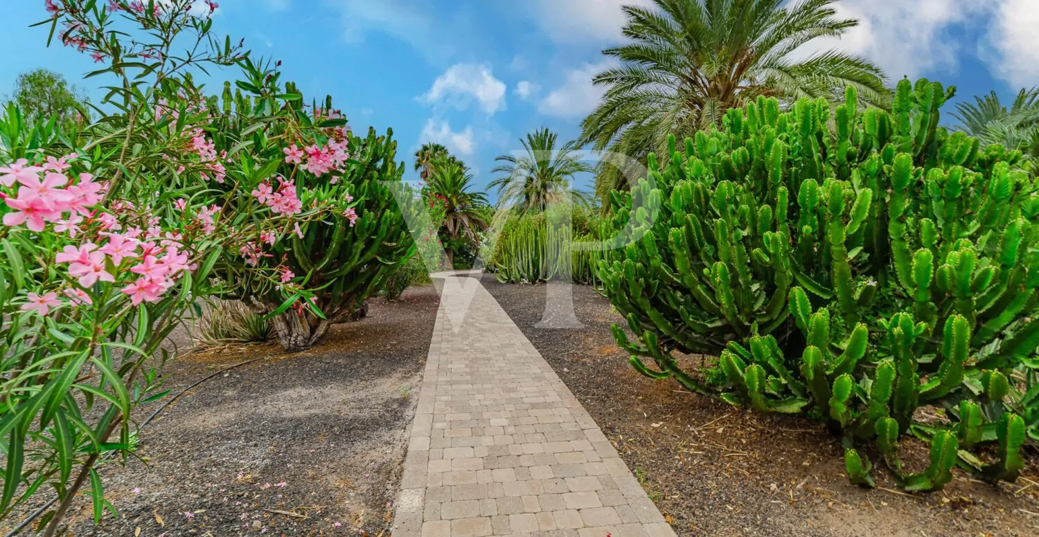 Elegantes Penthouse mit Meerblick – Marazul del Sur