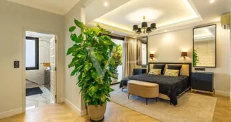 von_poll_real_estate_property_ES263185740_image_14